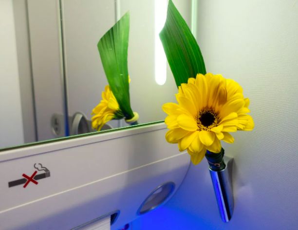 空客a350-900公务舱功能介绍,空客a330商务舱首航