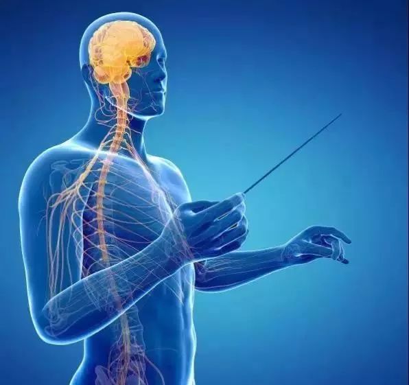 卫生纸可以擦嘴吗？原来这些年都错了