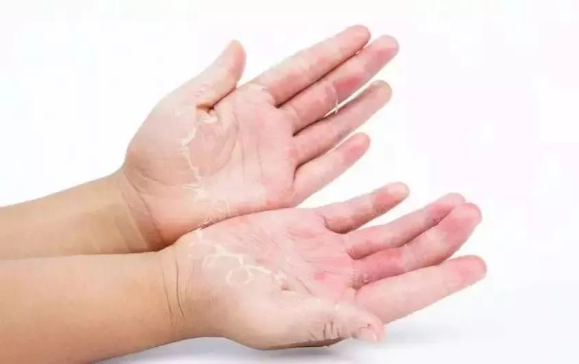 卫生纸可以擦嘴吗？原来这些年都错了