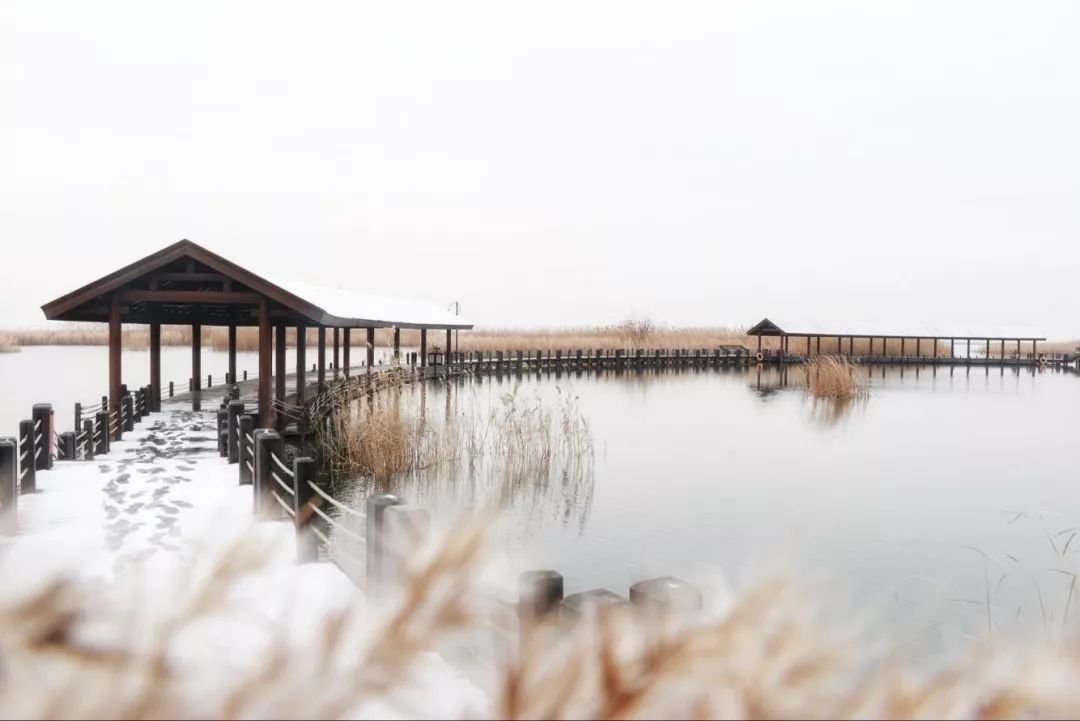 5天小长假旅游推荐,51小长假5天自驾游推荐