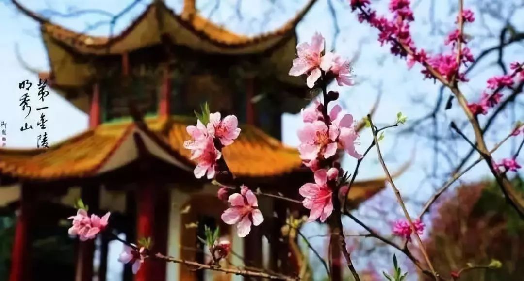 常州周边这117个景点通通免费！现在就出发！