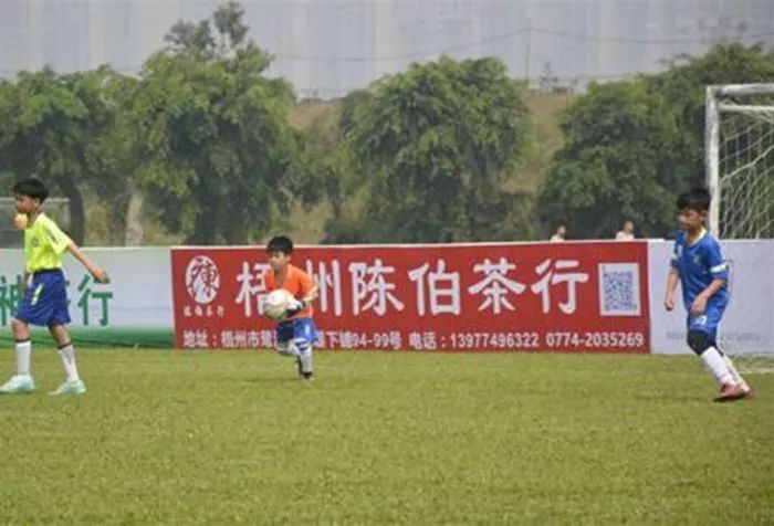 梧州三月三民族体育活动,三月三梧州接待游客人数