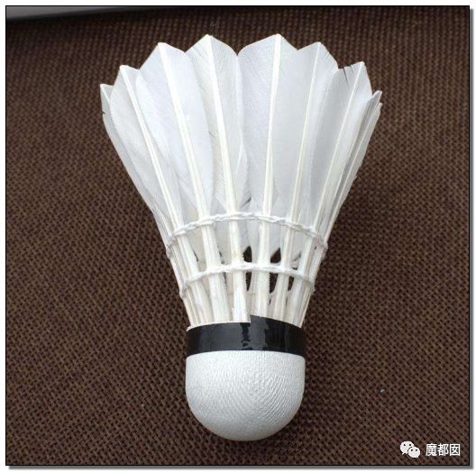 小提琴特色小镇,中国小提琴特色小镇