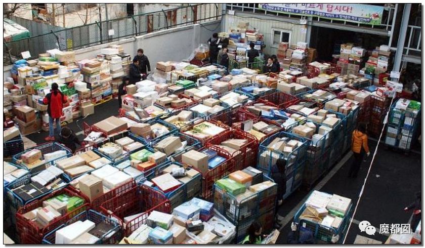 小提琴特色小镇,中国小提琴特色小镇