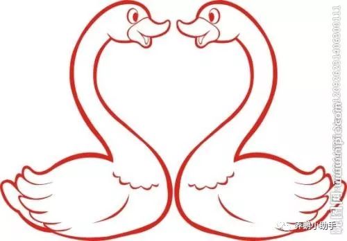 买了鹅苗怎么办,购买鹅苗关注什么