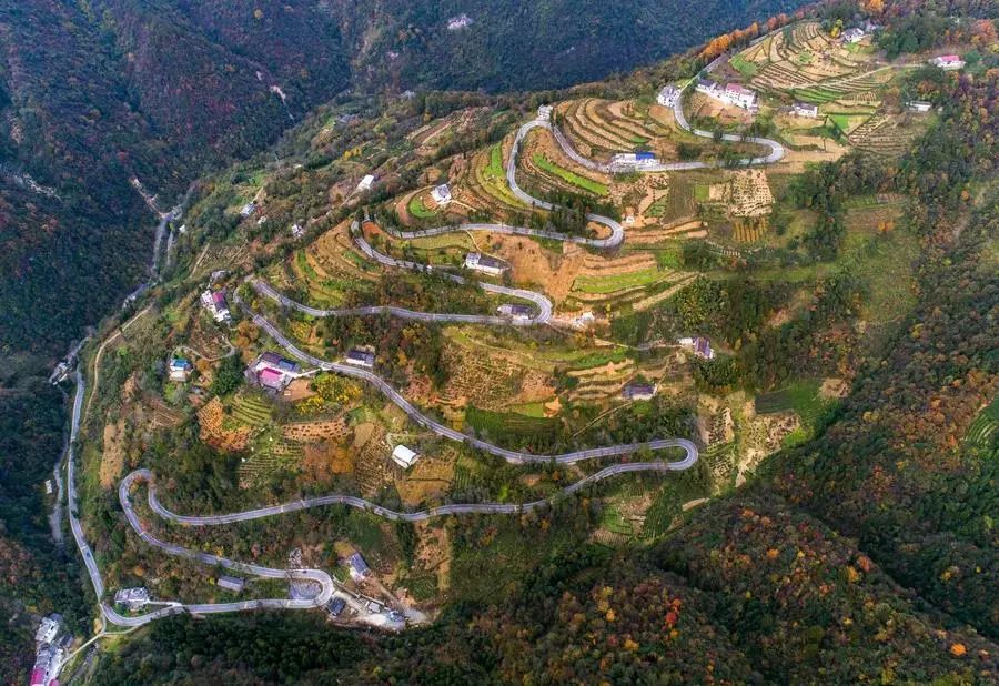 突出贡献省政府通报表扬宜昌,宜昌市优质中学排名