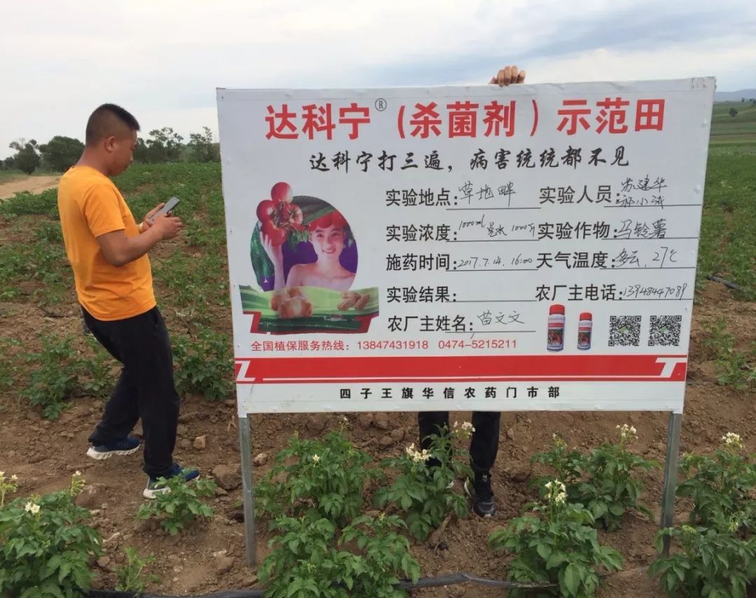 达科宁悬浮剂苗期能用吗,达科宁悬浮剂