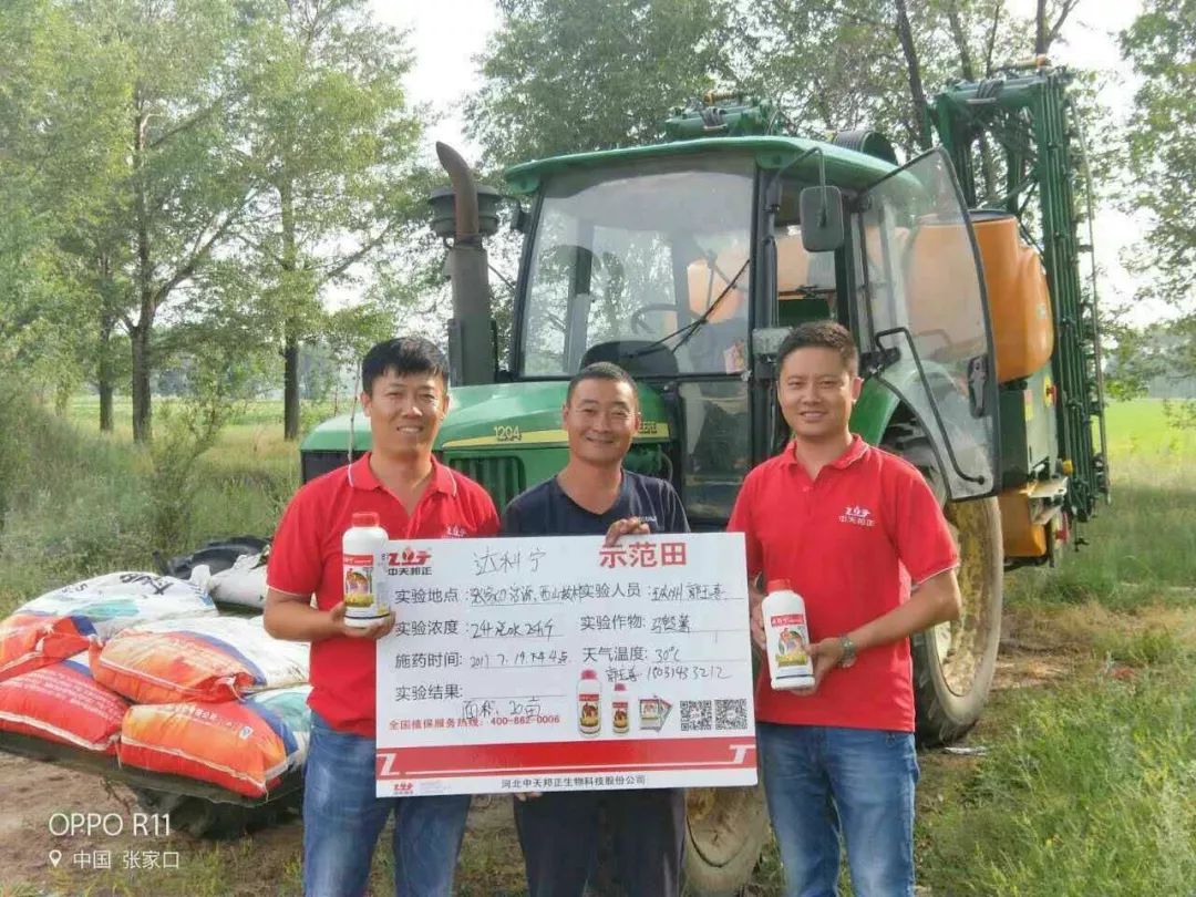 达科宁悬浮剂苗期能用吗,达科宁悬浮剂