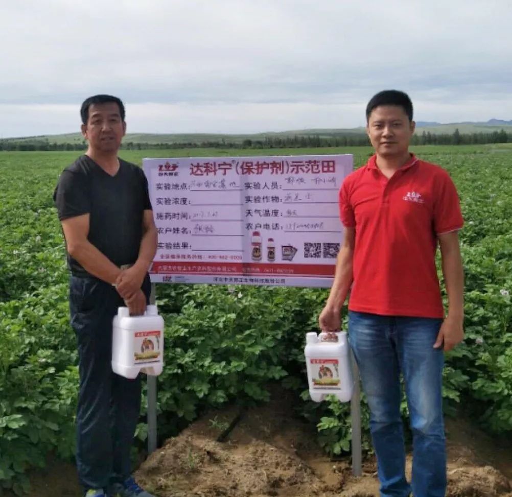 达科宁悬浮剂苗期能用吗,达科宁悬浮剂