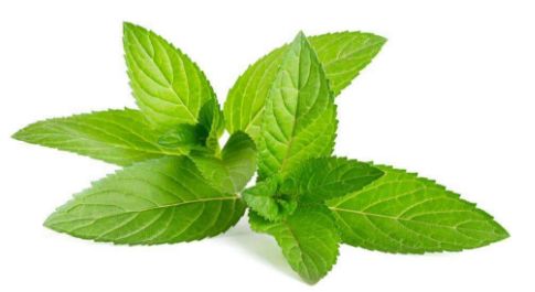 名副其实的防晒乳水润轻薄,平价大碗防晒乳