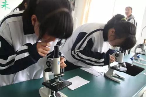 铜陵市体育中考考什么,安徽铜陵中考体育考试项目及标准