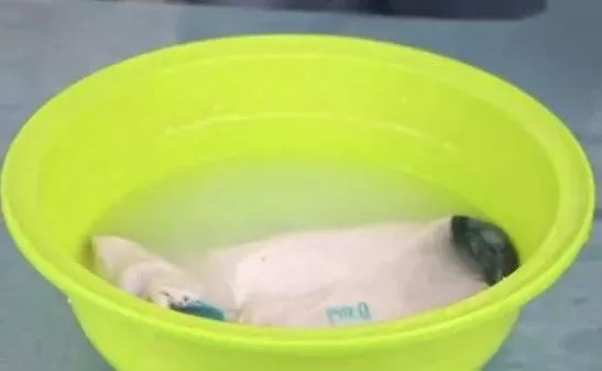 白袜子和黑袜子一起洗变黑怎么办,发黑的白袜子怎么洗才能变白