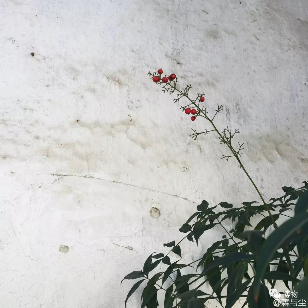 中国古典园林之美,都说岭南风景美如画