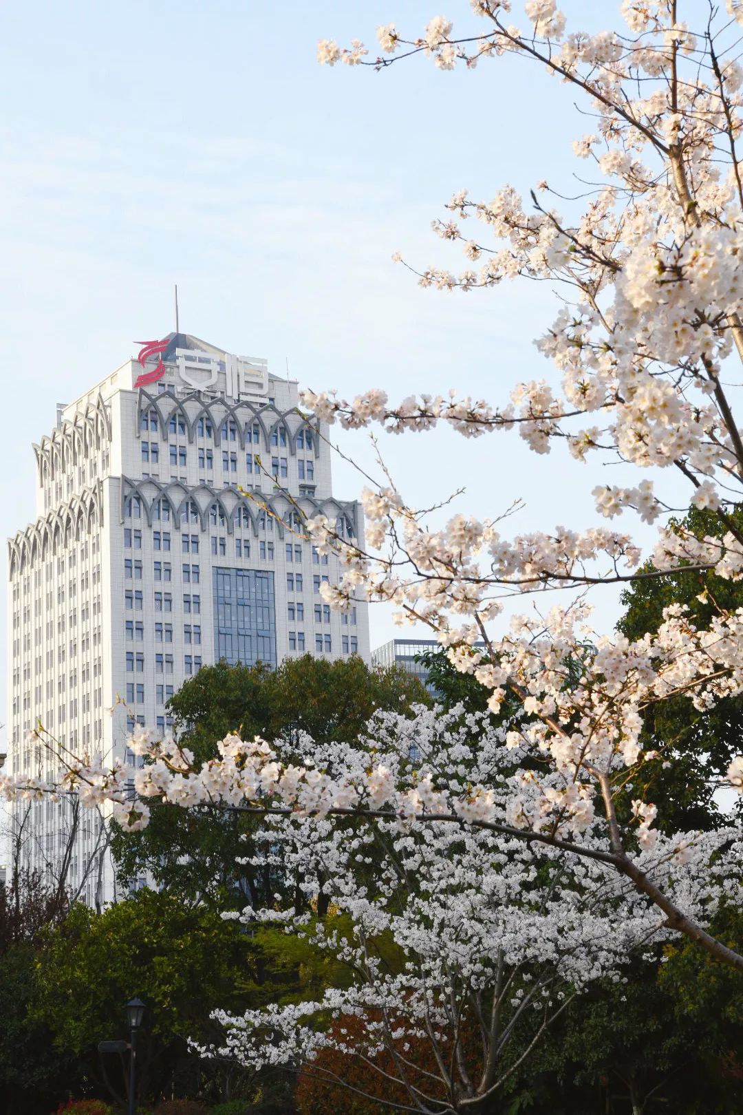 安恒信息安全服务部,安恒信息好吗