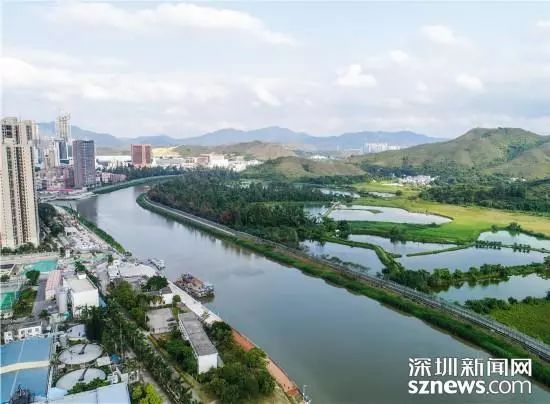 深圳河全景图片,深圳河水质怎么样