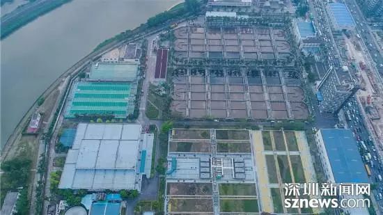 深圳河全景图片,深圳河水质怎么样