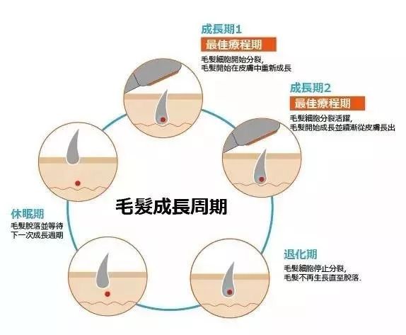 不脱毛的脱毛方法,猕猴桃脱毛的正确方法
