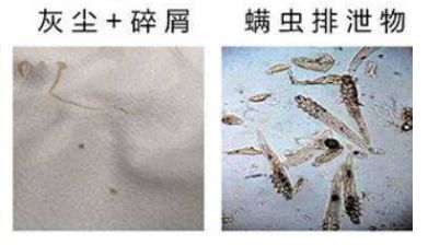 薄荷驱蚊被子怎么用,薄荷防蚊虫被子