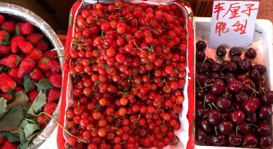 视频|一斤50元！成都樱桃初上市，你实现“樱桃自由”了吗？