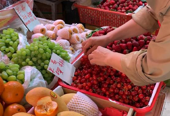 视频|一斤50元！成都樱桃初上市，你实现“樱桃自由”了吗？