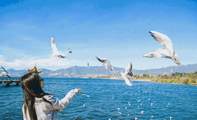 这些玉溪景点，你去打卡了没？