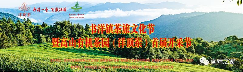 南靖茶旅融合,茶旅融合的风景