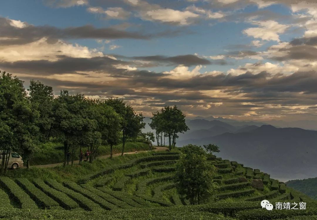 南靖茶旅融合,茶旅融合的风景