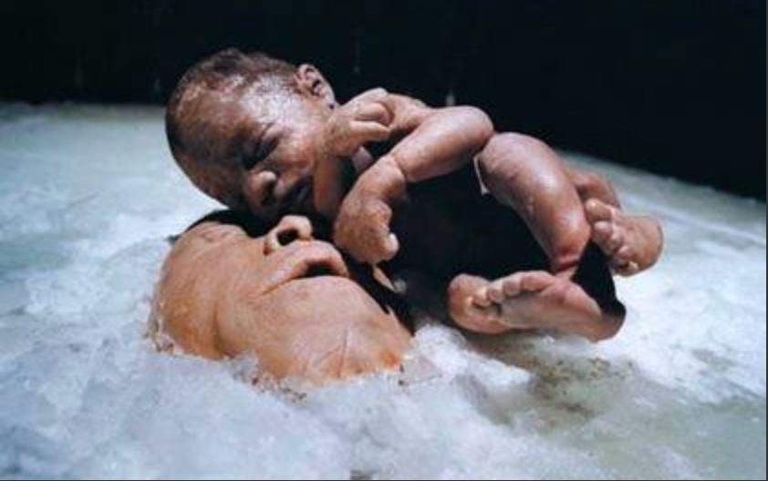 客厅FM|陈文波的绘画就是“软性*品毒**”