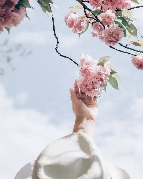 走心的好物推荐,好物推荐春夏必备款