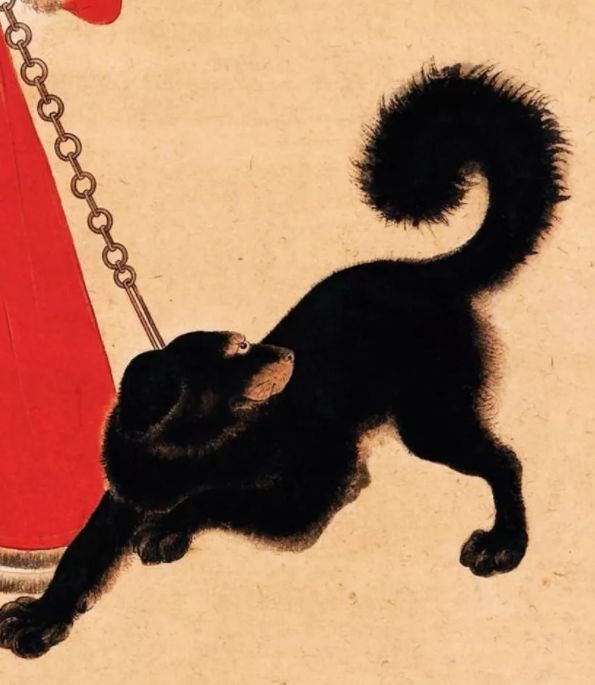 成都冷知识丨最霸气！聊聊养10条松潘狗的资格老成都“铲屎官”张大千