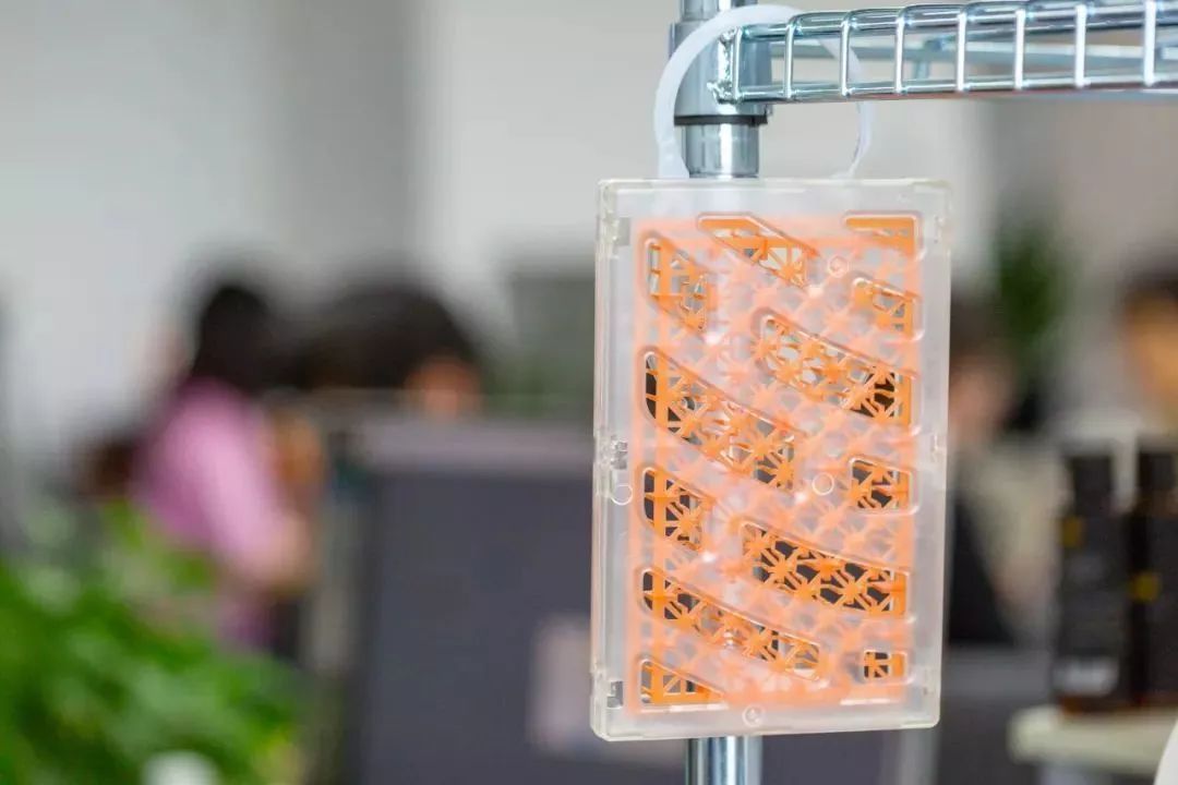 100%遮光蚊帐,蚊帐防蚊神器