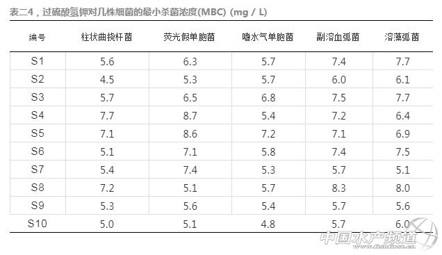 过硫酸氢钾对水产起什么作用,过硫酸氢钾在水产对病毒有效吗