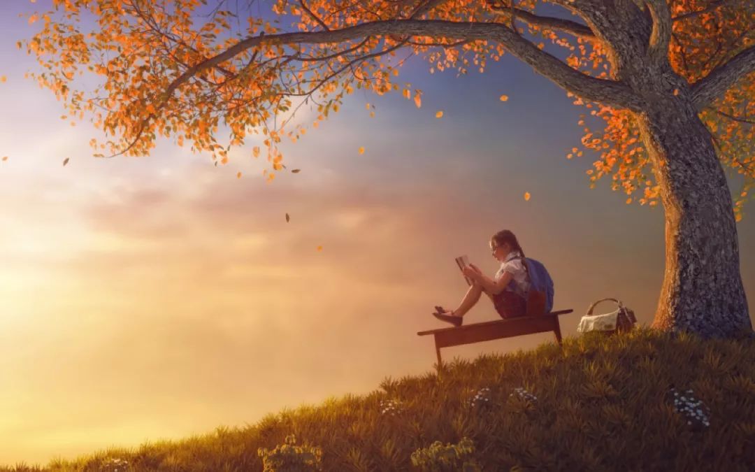 初中毕业前要读的20本书,初中毕业适合看什么书提升自己