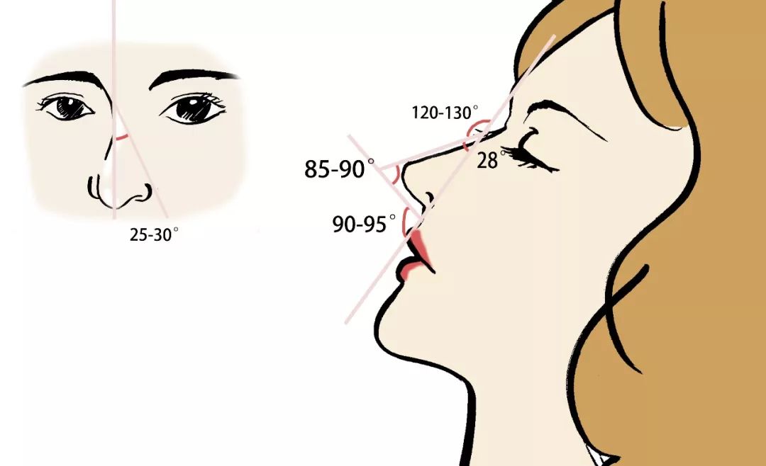 长鼻子如何通过整容改善,鼻子到底应该怎么修