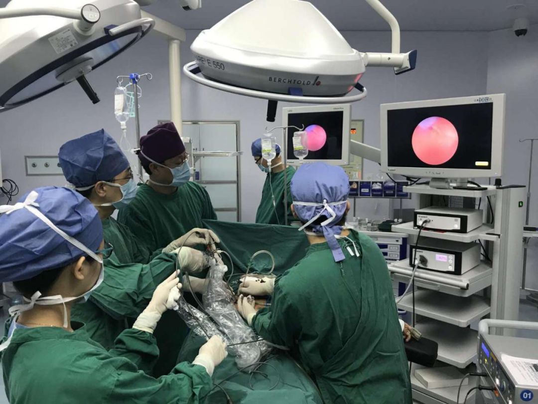 一男子吃月饼吃出寄生虫,诡异事件男人吃虫