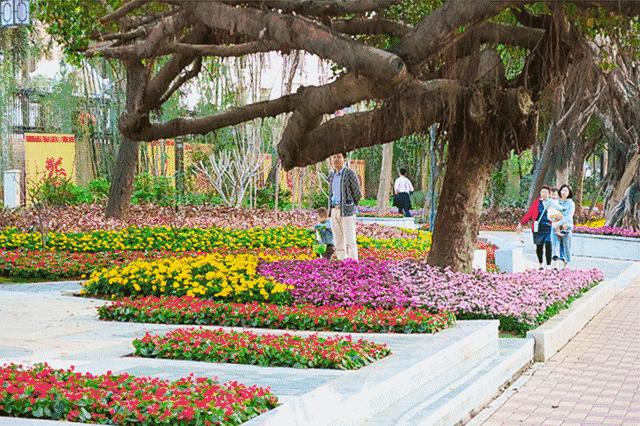 9大行动！罗湖掀起了一股热潮！齐心协力干好这件事！