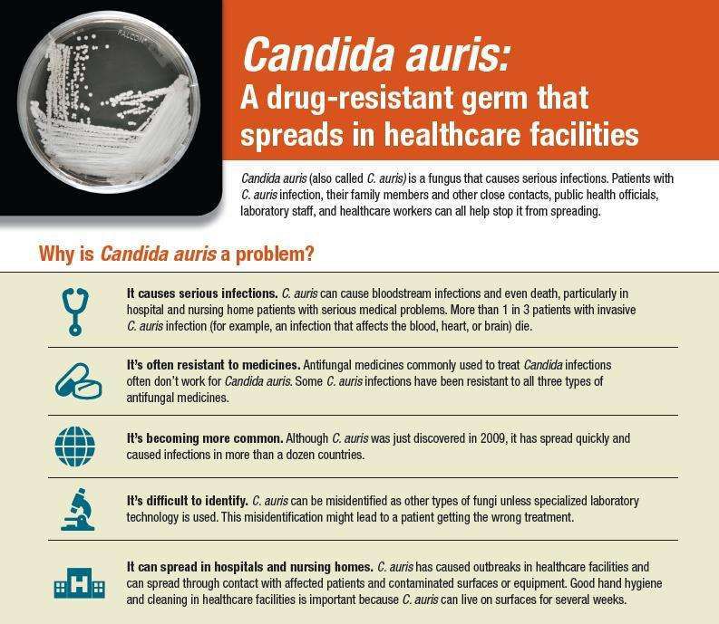 超级真菌爆发死亡率,超级细菌真菌致死率