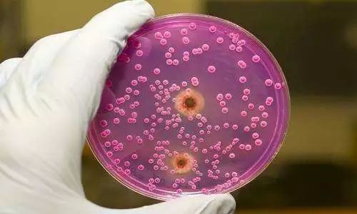 孕期疗愈常见问题,对付孕期各种不适症状有啥偏方