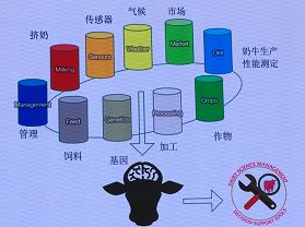 大数据万万没想到,万万没想到深度解析