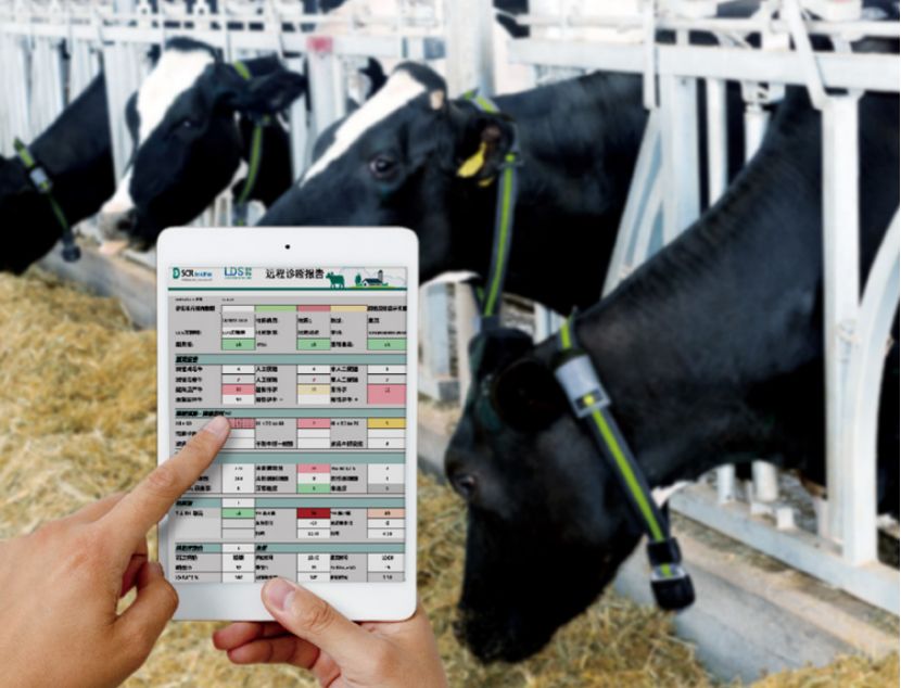 大数据万万没想到,万万没想到深度解析