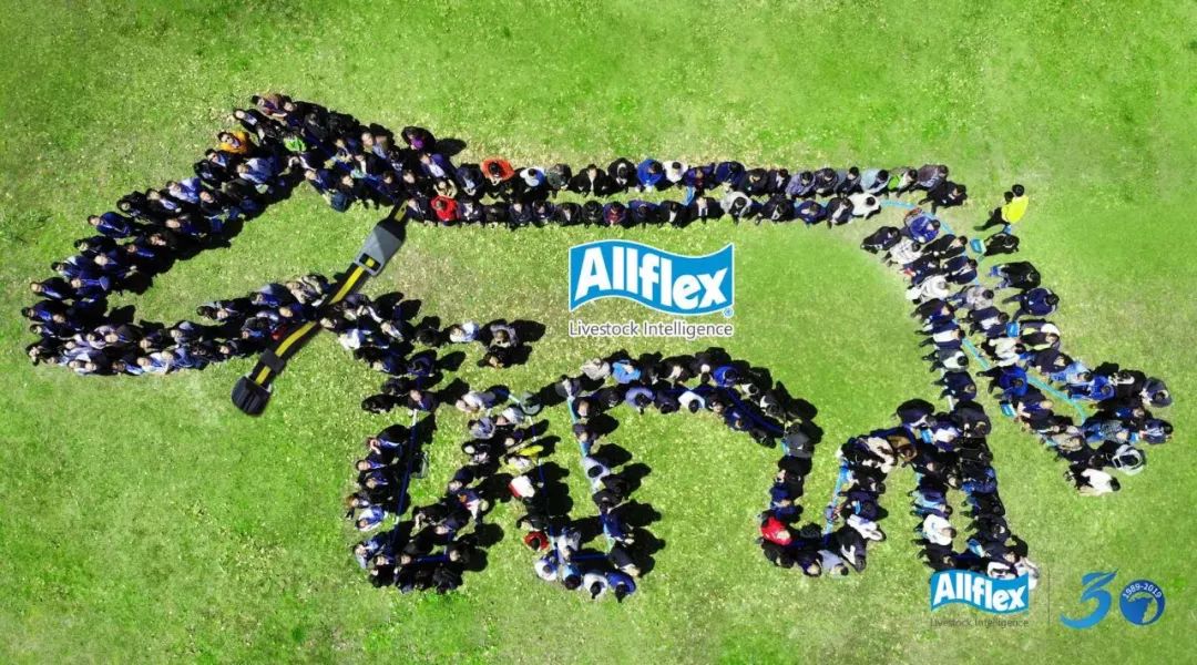 大数据万万没想到,万万没想到深度解析