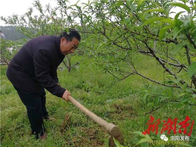 壮丽70年奋斗新时代课堂笔记,壮丽70年奋进新时代系列报道
