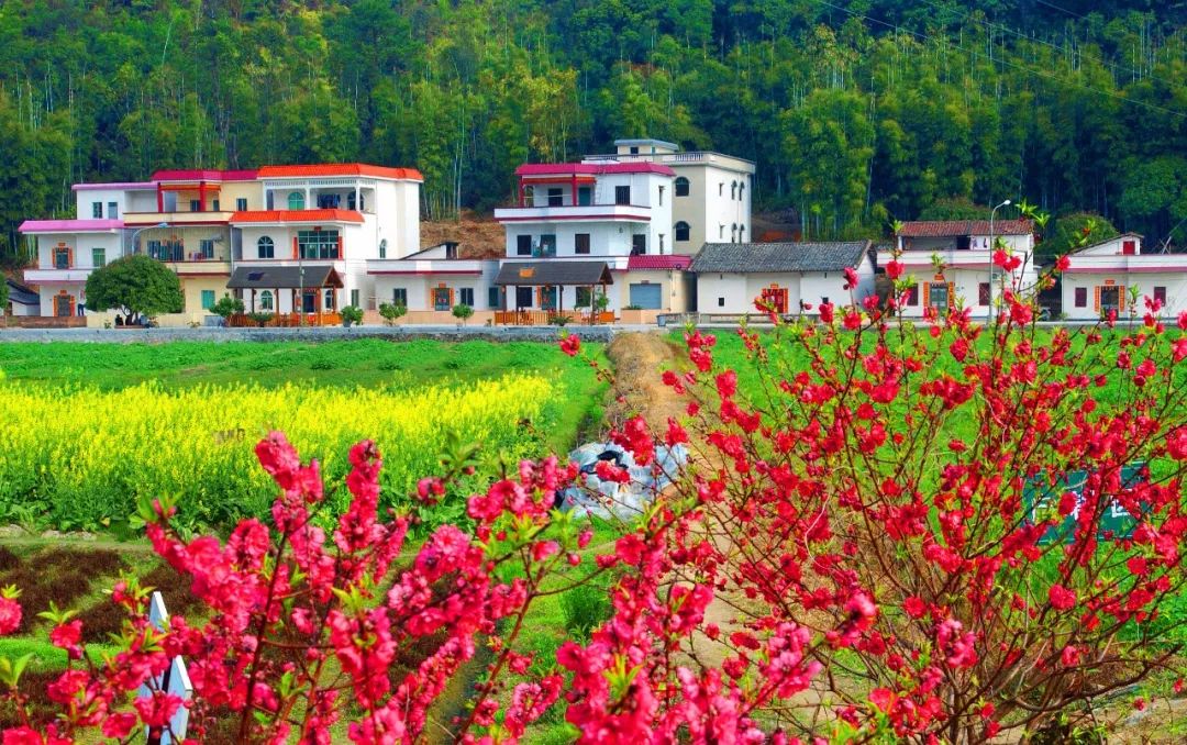 权威发布|这样的花都，太上头了！