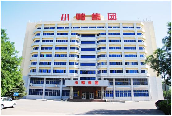 “退市”15周年|步入“李永刚时代”的小鸭能否“顶呱呱”