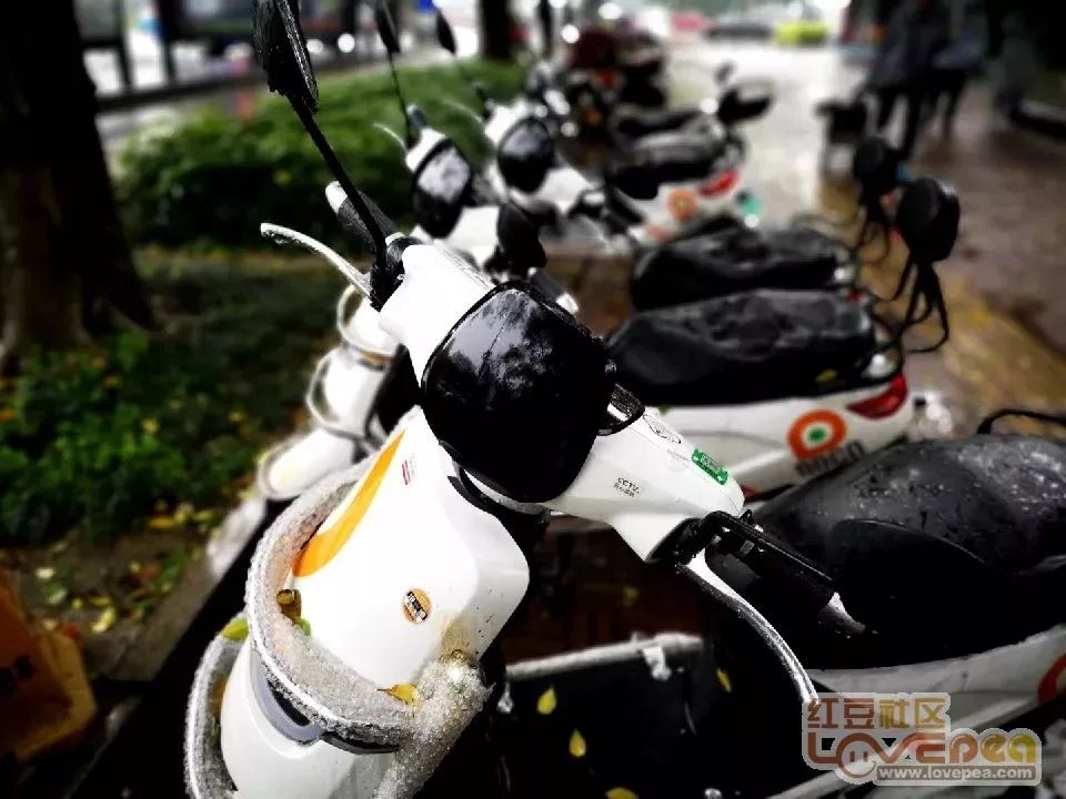 柳州有共享小电驴吗,共享电单车柳州