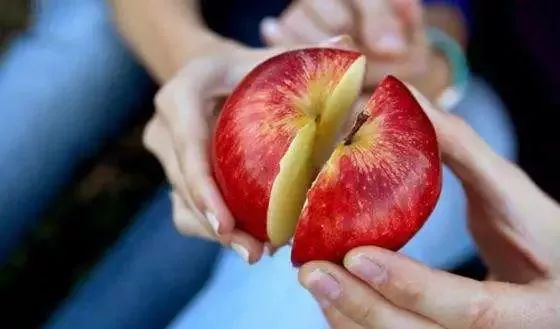 柳州有共享小电驴吗,共享电单车柳州