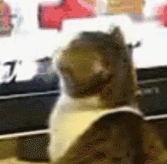 浙江温州醉酒男子当街拉扯女孩,浙江一男子拿刀挟持女子