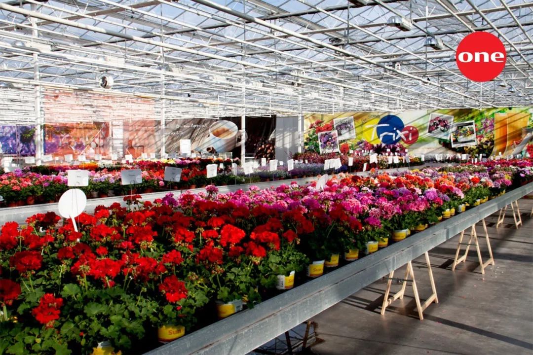 搴蜂箖棣╨ove,搴蜂箖棣╨ove缁勫悎