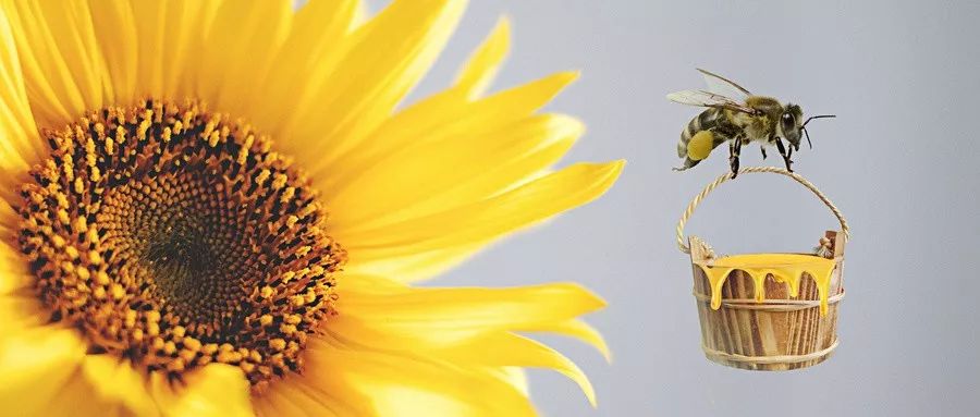 都说得了乳腺癌不能干活是真的吗,医生说乳腺癌不能吃蘑菇是真的吗