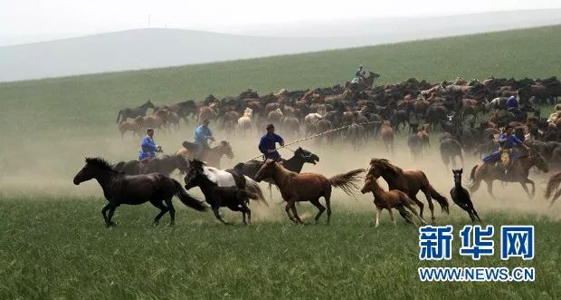 【荐读】牛！原来内蒙古有这么多第一